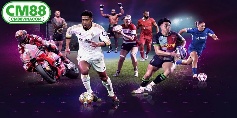 CMD Sport cung cấp hàng trăm giải đấu thể thao lớn nhỏ mỗi ngày